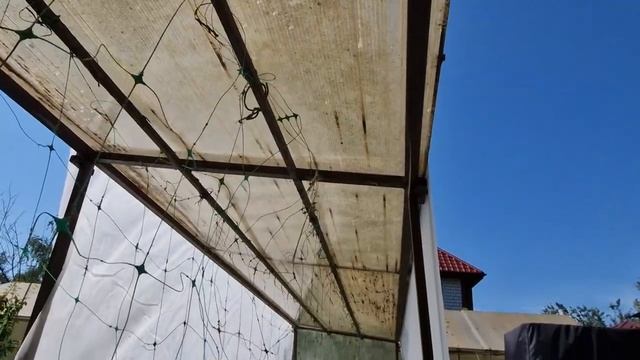 Возвращение домой. Работаем и отдыхаем. Что посадить в июле? Жизнь семьи в деревне. смотреть онлайн