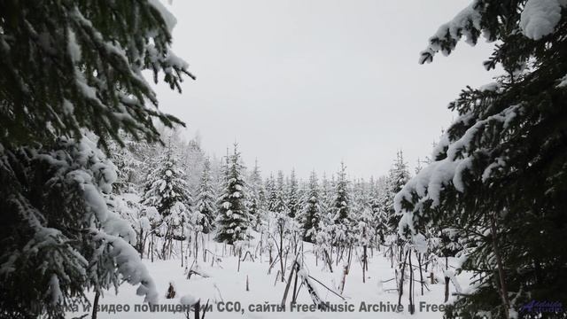 Музыка и природа сливаются в чистую магию - Action -- Chad Crouch -- Arps II