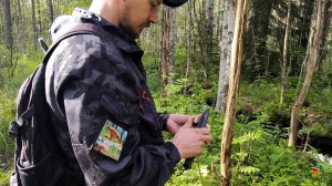 Сбор подосиновиков с приглашенным подписчиком!) 05.07.25