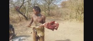 ДИКОЕ ПЛЕМЯ ГОТОВИТ ДОБЫЧУ