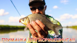 ПРИМАНКА для МОРМЫШИНГА 💪💪💪 Карась на КУРИНУЮ лапку 😁