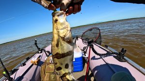 Одно место и столько рыбы, Главное - правильно встать на точку