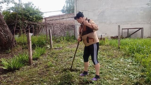 ВСЁ В КУЧУ, КОЕ-ЧТО ПОДКУПИЛА, КОТЛЕТЫ БОМБА, ПОВСЕДНЕВНАЯ ЖИЗНЬ смотреть онлайн