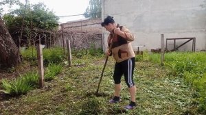 ВСЁ В КУЧУ, КОЕ-ЧТО ПОДКУПИЛА, КОТЛЕТЫ БОМБА, ПОВСЕДНЕВНАЯ ЖИЗНЬ