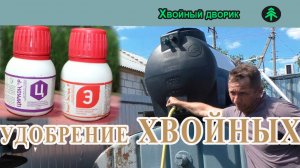 Чем удобрять хвойные растения, чем подкормить сеянцы ели голубой,как развести эпин и циркон.