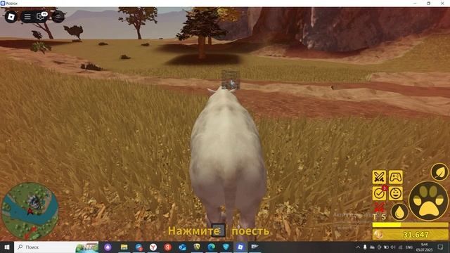 Играю с другом в саванную жизнь