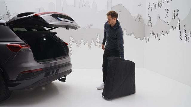 Сумка Thule EasyFold 3 3Bike Storage Bag смотреть онлайн
