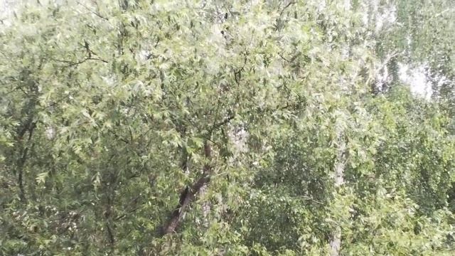 Дождик,дождик ,пуще...😍