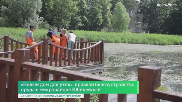 «Новый дом для уток»: провели благоустройство пруда в микрорайоне Юбилейный смотреть онлайн