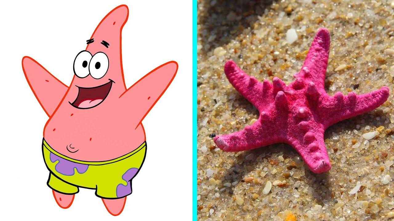 Спанч Боб Персонажи в Реальной Жизни смотреть онлайн