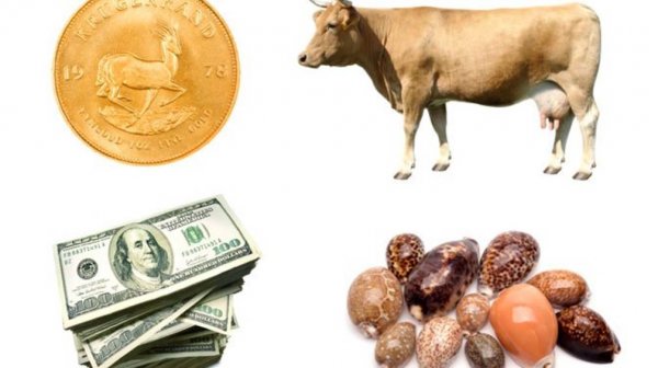 LESSON ➤THE HISTORY OF MONEY