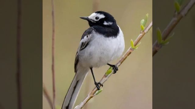 Это интересно-21