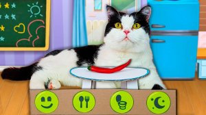 Мой Говорящий Кот Том в Реальной Жизни