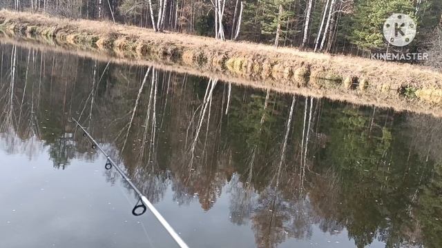 Рыбалка на щуку осенью?!! смотреть онлайн