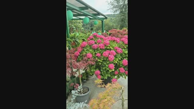 Агрофирма «Садовод» приглашает в садовый центр Адлера