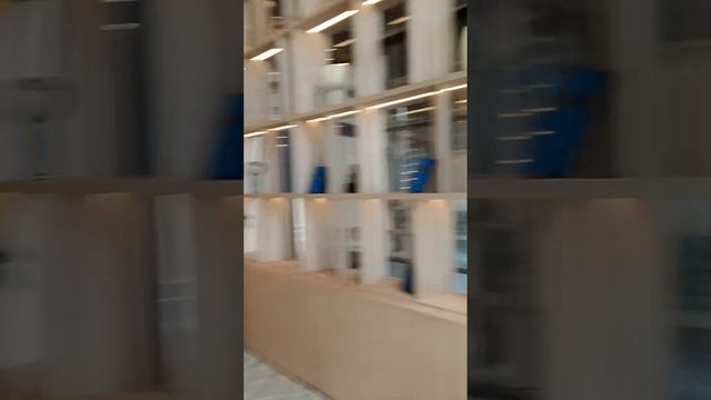 1000047889.mp4 смотреть онлайн