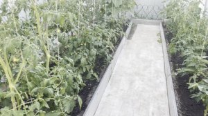 ПЕРЕЕЗД В ДЕРЕВНЮ. МНЕ СТАЛО ПЛОХО ! ВСЁ ЗАПУЩЕНО ! НЕ ДАЙ БОГ ТАКОГО СОСЕДА ! ЗАСТЕЛИЛА ДВОР !