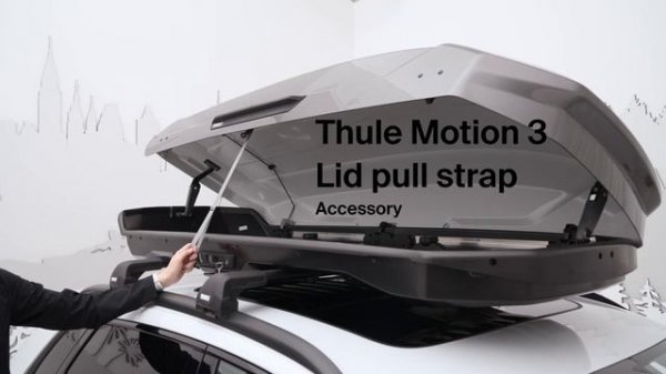 Автобокс Thule Motion 3