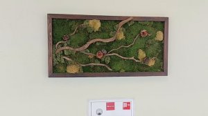 Аэропорт Шереметьево 5 июля 2025 года, Дедлайн.