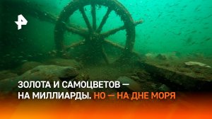 Сокровища на миллиарды: забитый золотом корабль "Сан-Хосе" засняли под водой
