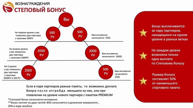 Маркетинг план компании Whieda (Виеда) смотреть онлайн