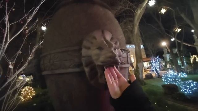 #16 ХОБОТ ВВЕРХ и ВНИЗ что значит? Короткая лекция про слонов и хобот 🤗 #старыйпарк #кабардинка 🇷 смотреть онлайн