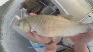 Рыбалка в Сибири, часть 65: ловля язя.