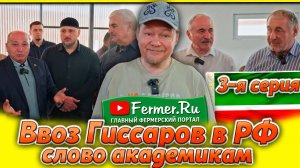 Гиссарские овцы в России. Легальный ввоз гиссаров. Первое генофондное хозяйство по гиссарской породе