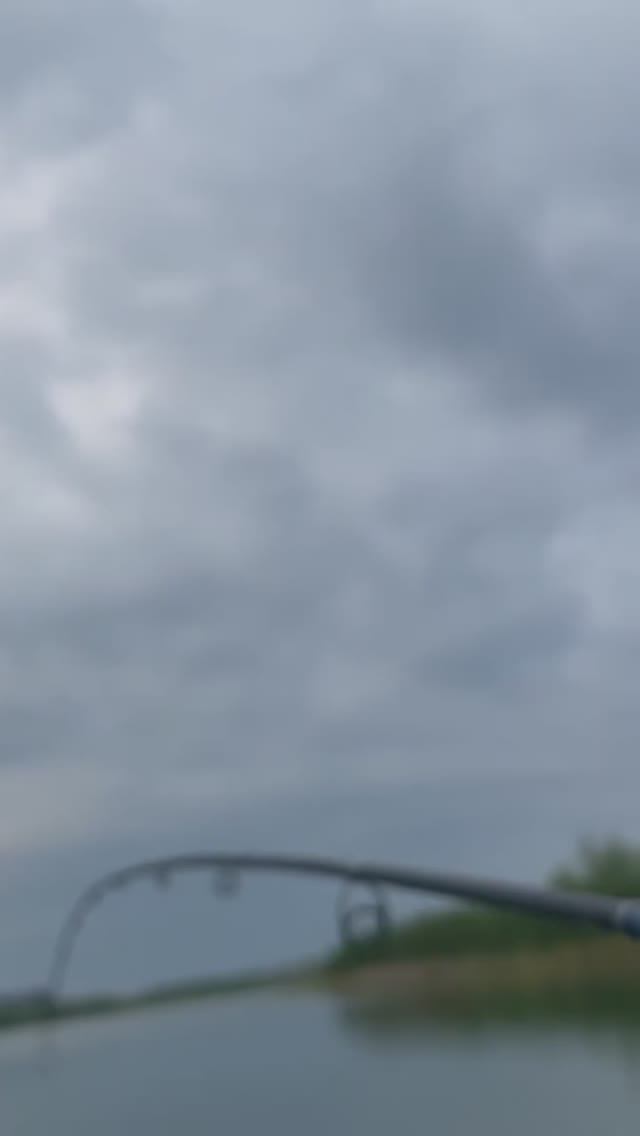 Лучшая снасть на окуня! #рыбалка #fishing #красотыприроды #nature #охота #лето #трофей #утро смотреть онлайн