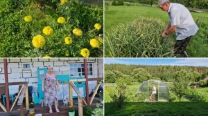 НАШЛА СВОЕ ЛЮБИМОЕ ПЛАТЬЕ. ЗАНИМАЕМСЯ ОБЫЧНЫМИ ДЕРЕВЕНСКИМИ ДЕЛАМИ.