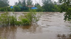 Наводнение в 2022 году