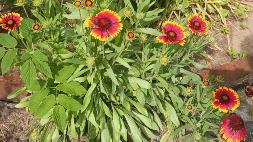 05-07-2025💥Влог💥суббота смотреть онлайн