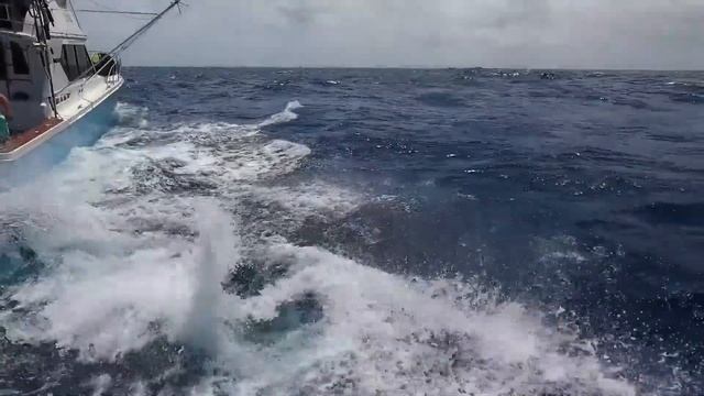 Самые страшные нападения рыбы на человека снятые на камеру. Марлины атакуют! смотреть онлайн