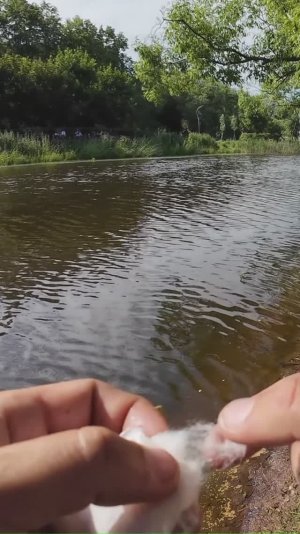 #спиннинг #рыбалка #мормышинг | Ловля карася на вату  | Как надеть вату на крючок |