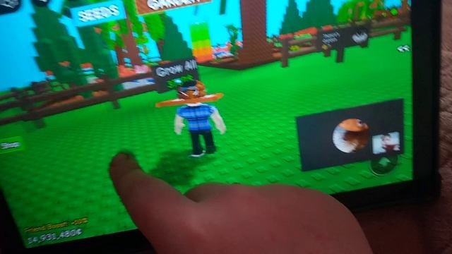 1 серия обзор на обнову в выристи в сад