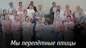 Мы перелётные птицы | пение | Новосибирск