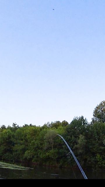 Хапнула щука и сорвалась