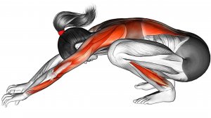 Упражнения на Растяжку для Любого Возраста