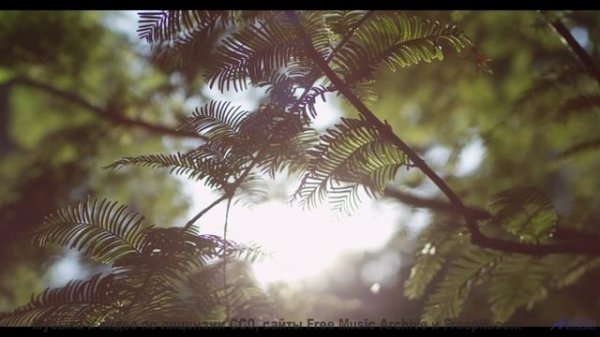 Музыка, которая заставит тебя замереть на месте! - A Play on Words -- Les Hayden -- Home