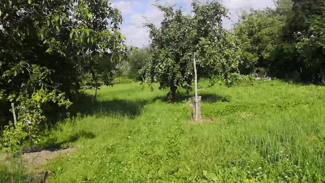 Начала покос.