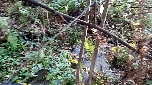 Горный ручей