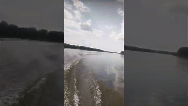 дон смотреть онлайн