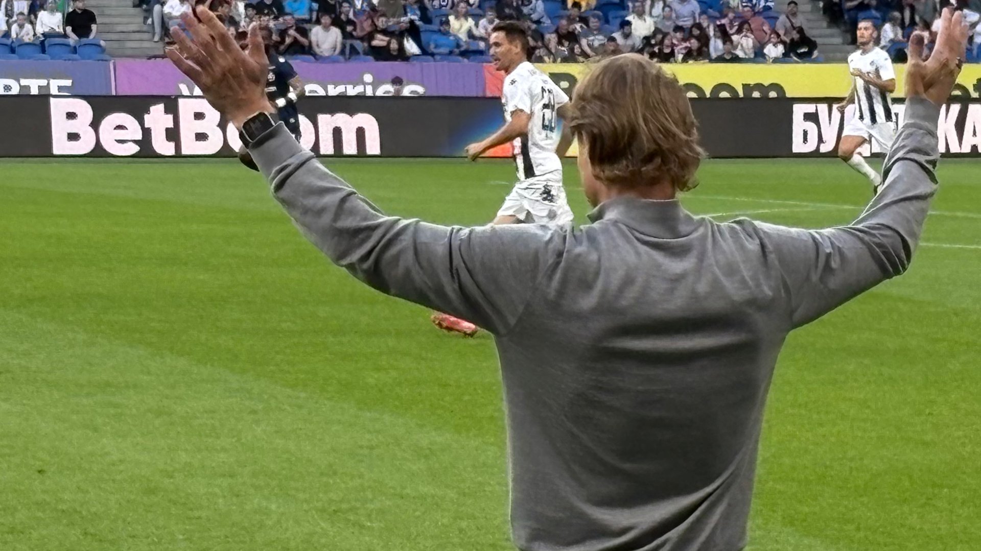 Динамо Москва - Партизан Белград. Поход на матч.