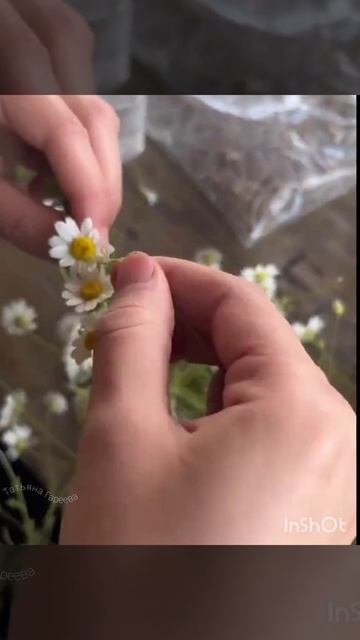 С Днём Семьи Любви и Верности ❤️🕊️🙏