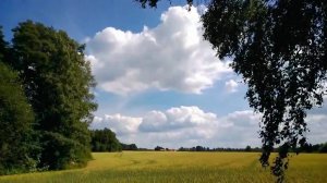 Лето... summer- Paul Mauriat, Franck Pourcel, Francis Lai & Raymond Lefévre