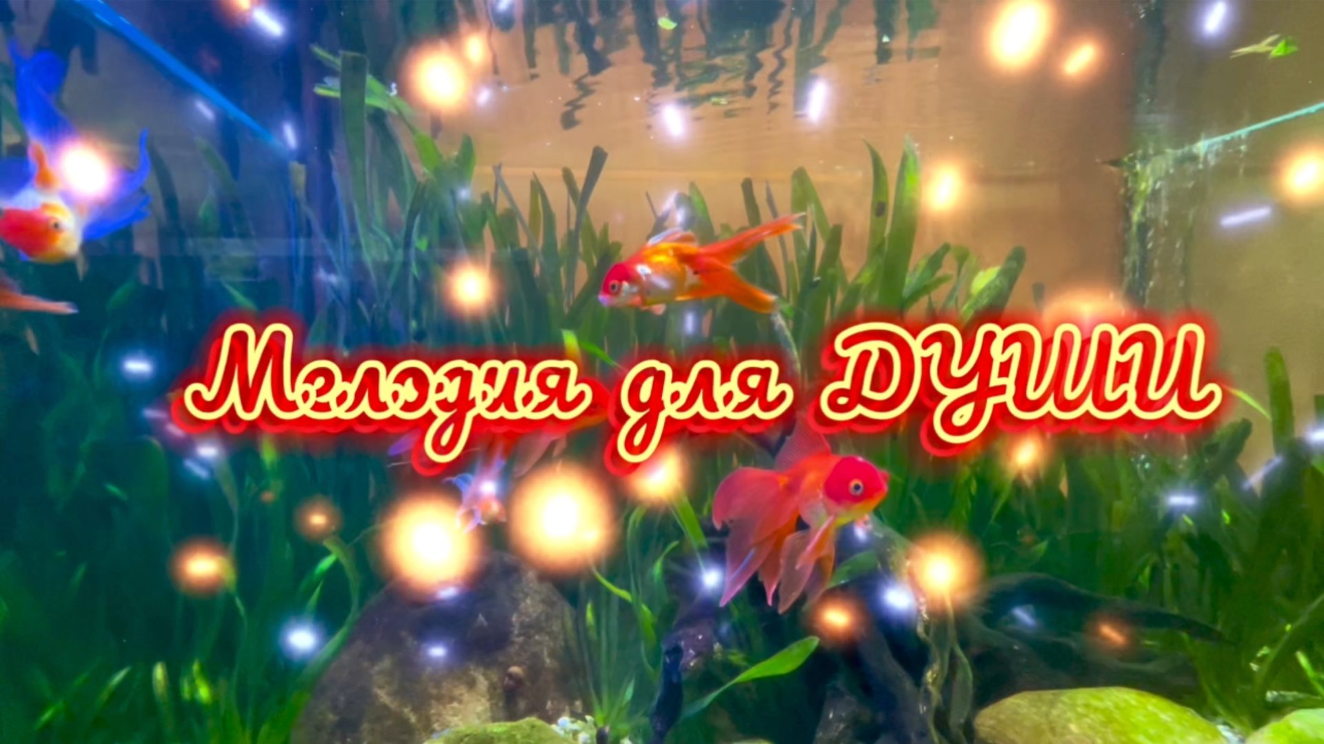 Мелодия для души, прекрасная скрипка