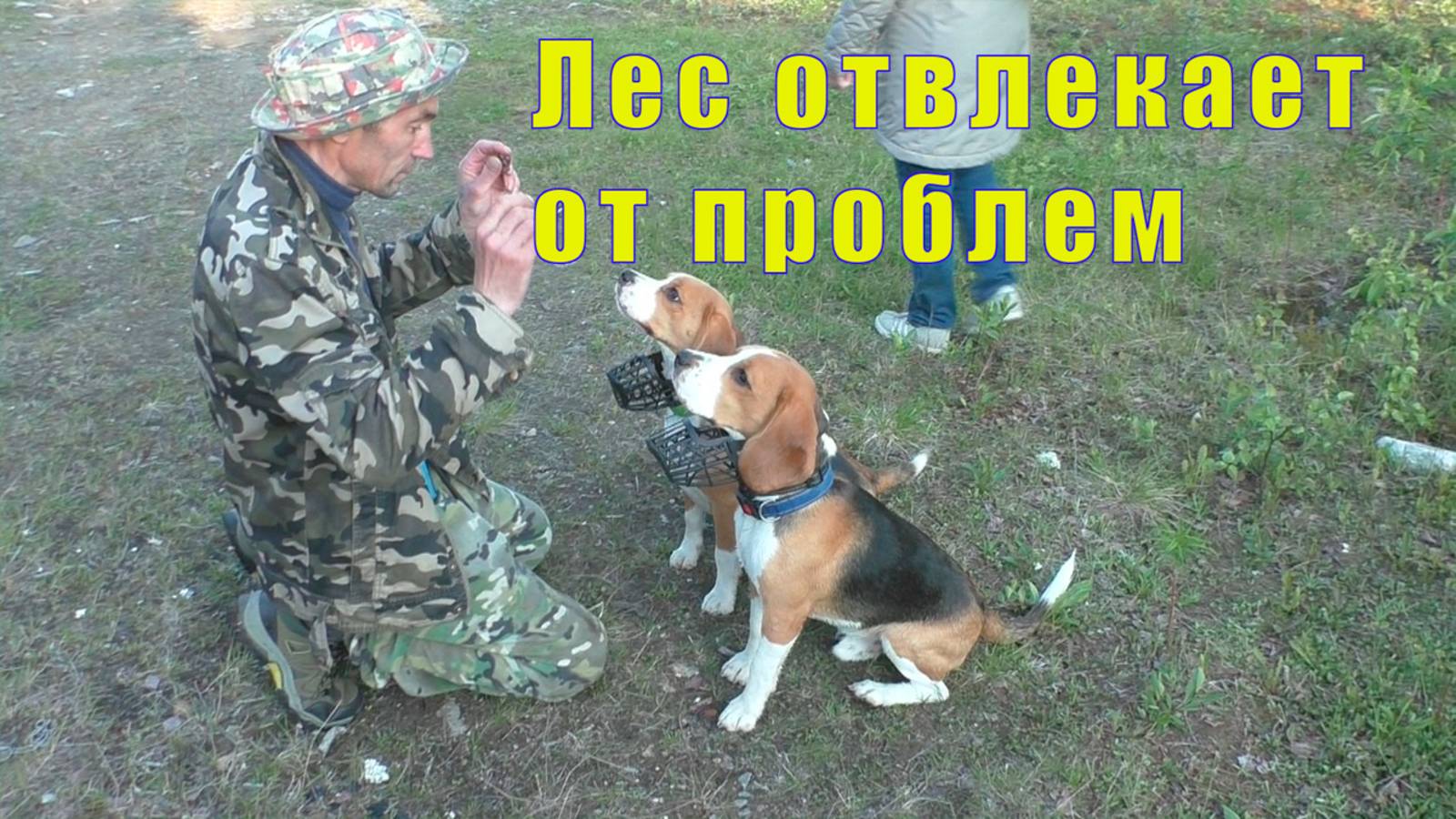 ОЧЕНЬ БОЛЬНО НА ЭТО СМОТРЕТЬ/ ВЕЧЕРОМ БАНДОЙ В ЛЕС/ 28 июня 2025 смотреть онлайн