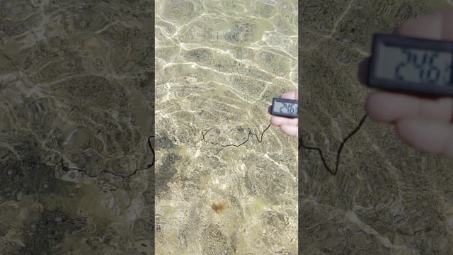 Чёрное море, температура воды 05.07.25.
#крым #яковенково смотреть онлайн