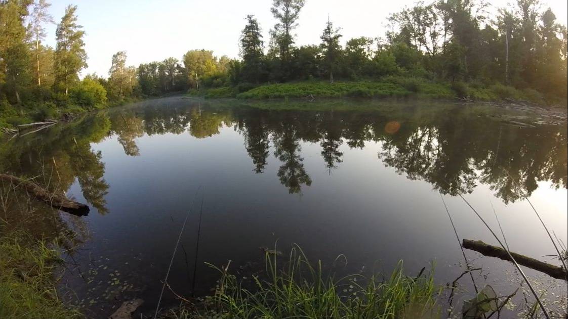 Самарская область рыбалка на маховую удочку ловля карася на перловку смотреть онлайн