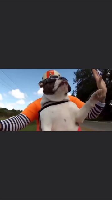 2025-07-05 смотреть онлайн